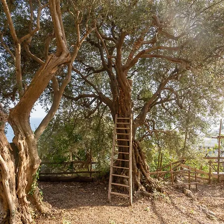 Lejlighed Alma Domus Ancient House Recently Opened *