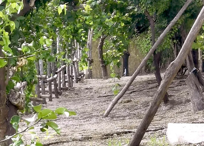 Апартаменты Alma Domus Ancient House Recently Opened Амальфи