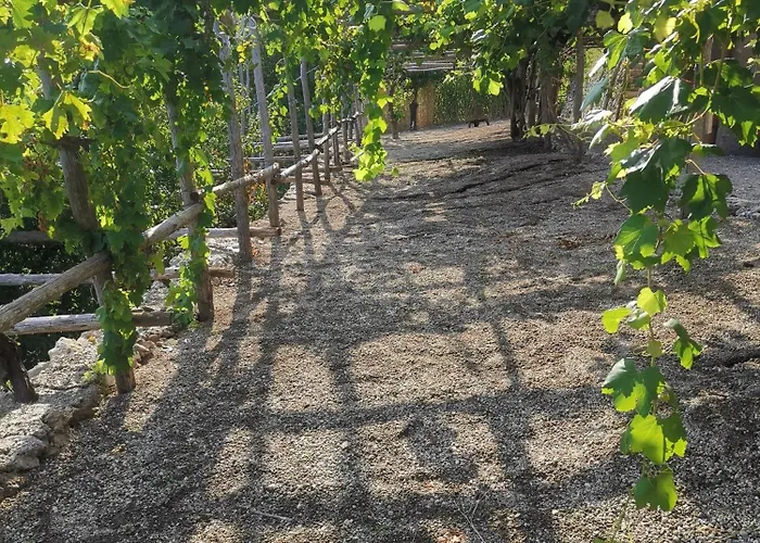 Alma Domus Ancient House Recently Opened Апартаменты *