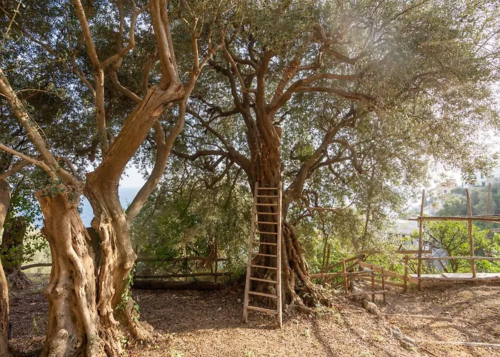 Apartamento Alma Domus Ancient House Recently Opened *