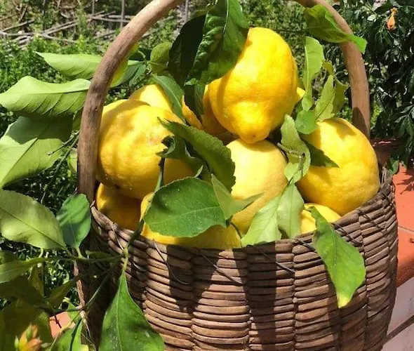 Alma Domus Ancient House Recently Opened Апартаменты Амальфи